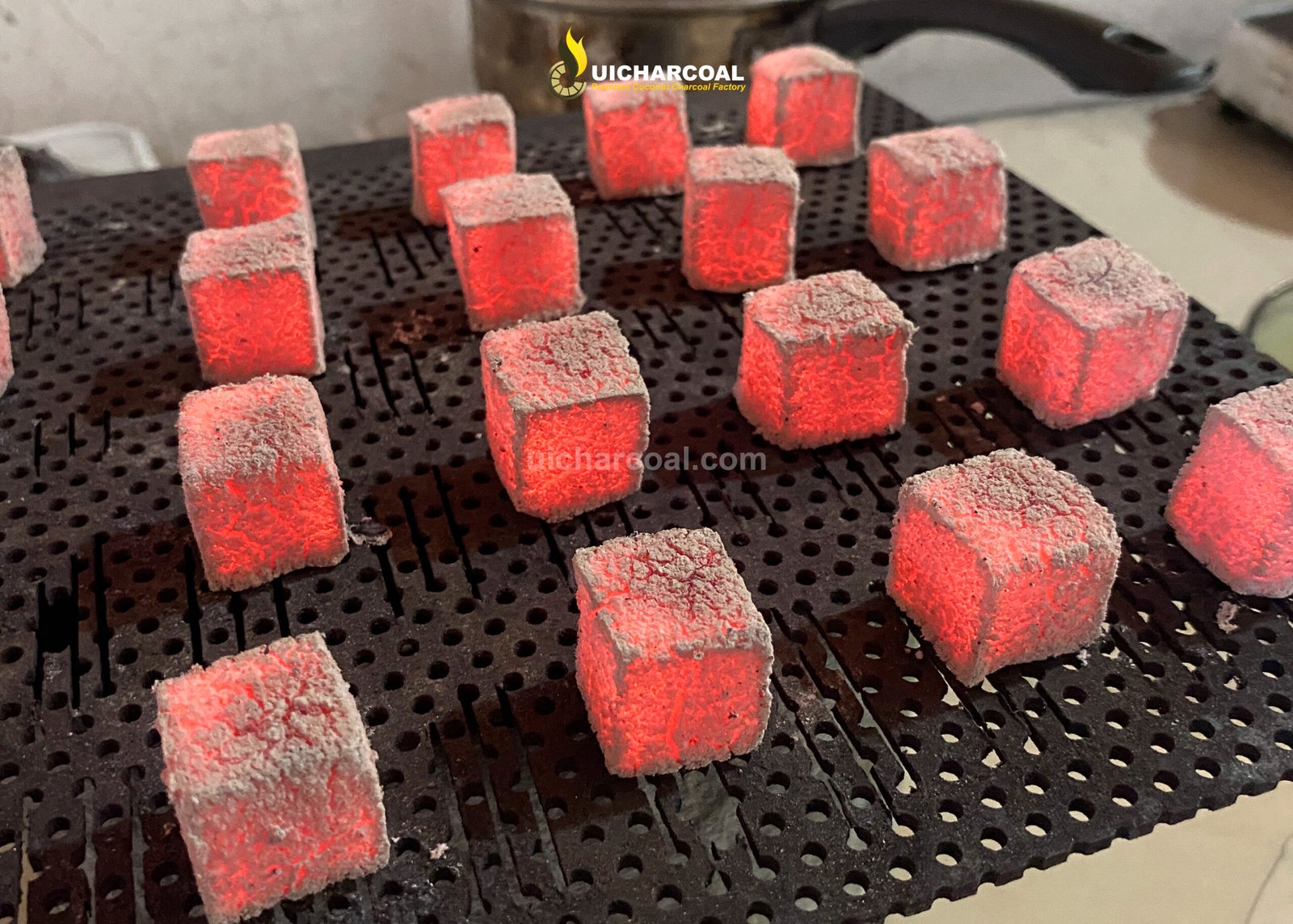 Coconut charcoal briquettes factory