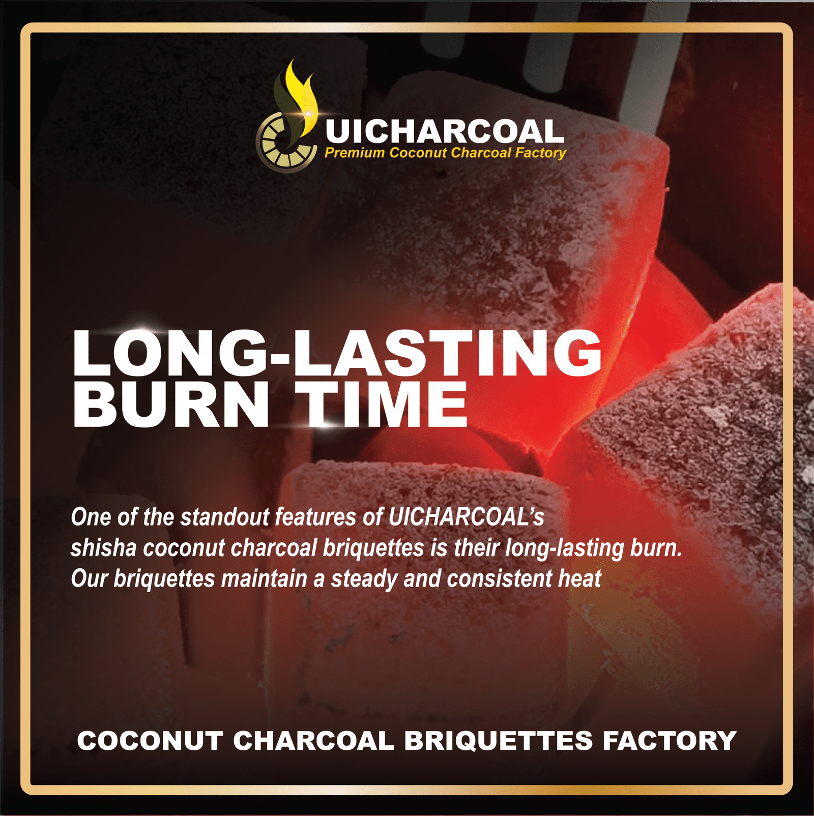 Coconut Charcoal Briquettes Factory