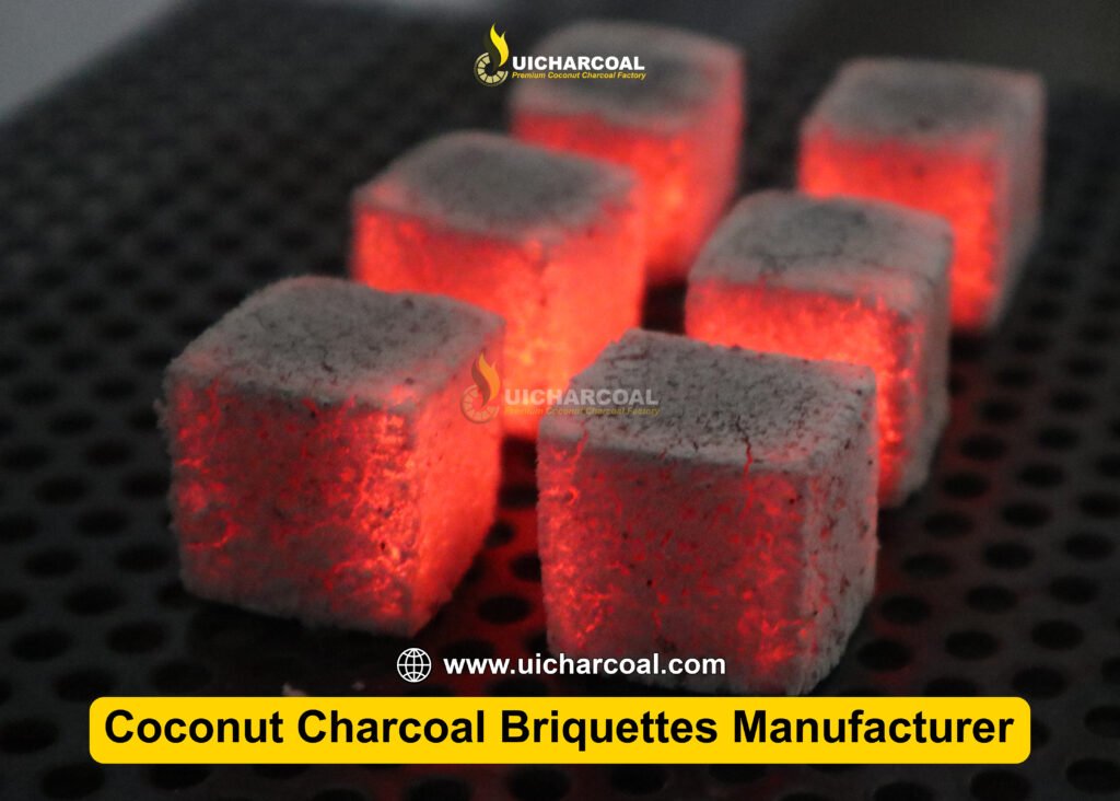 shisha coconut charcoal briquettes supplier