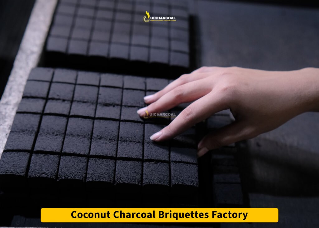 coconut shell charcoal briquettes factory