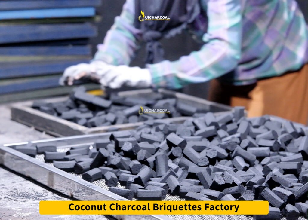 coconut shell charcoal briquettes factory
