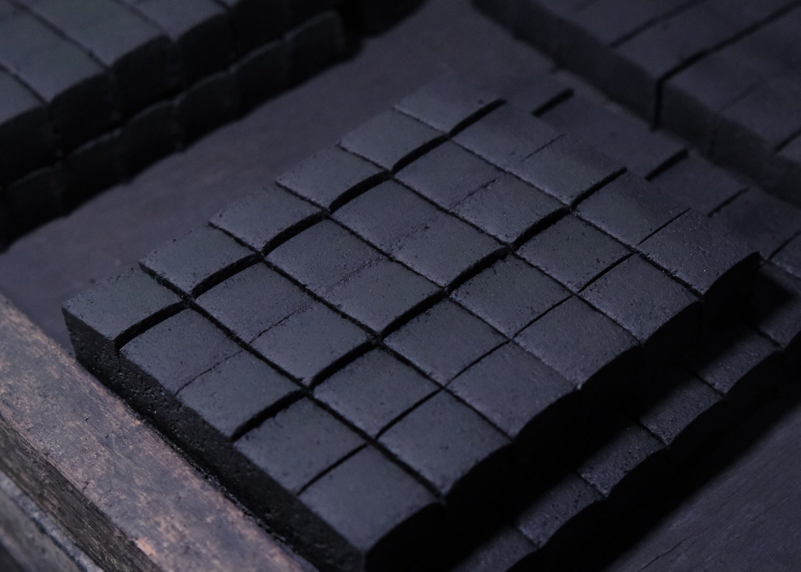 coconut charcoal briquettes factory