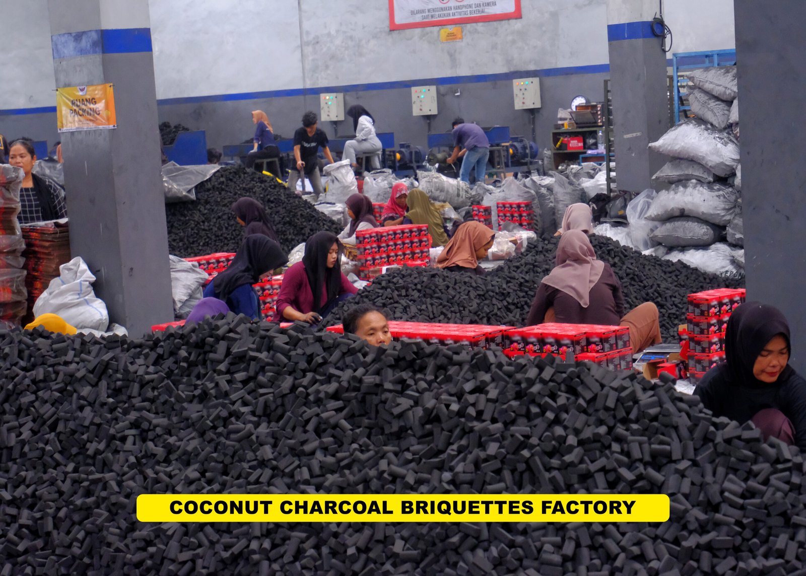coconut charcoal briquettes factory