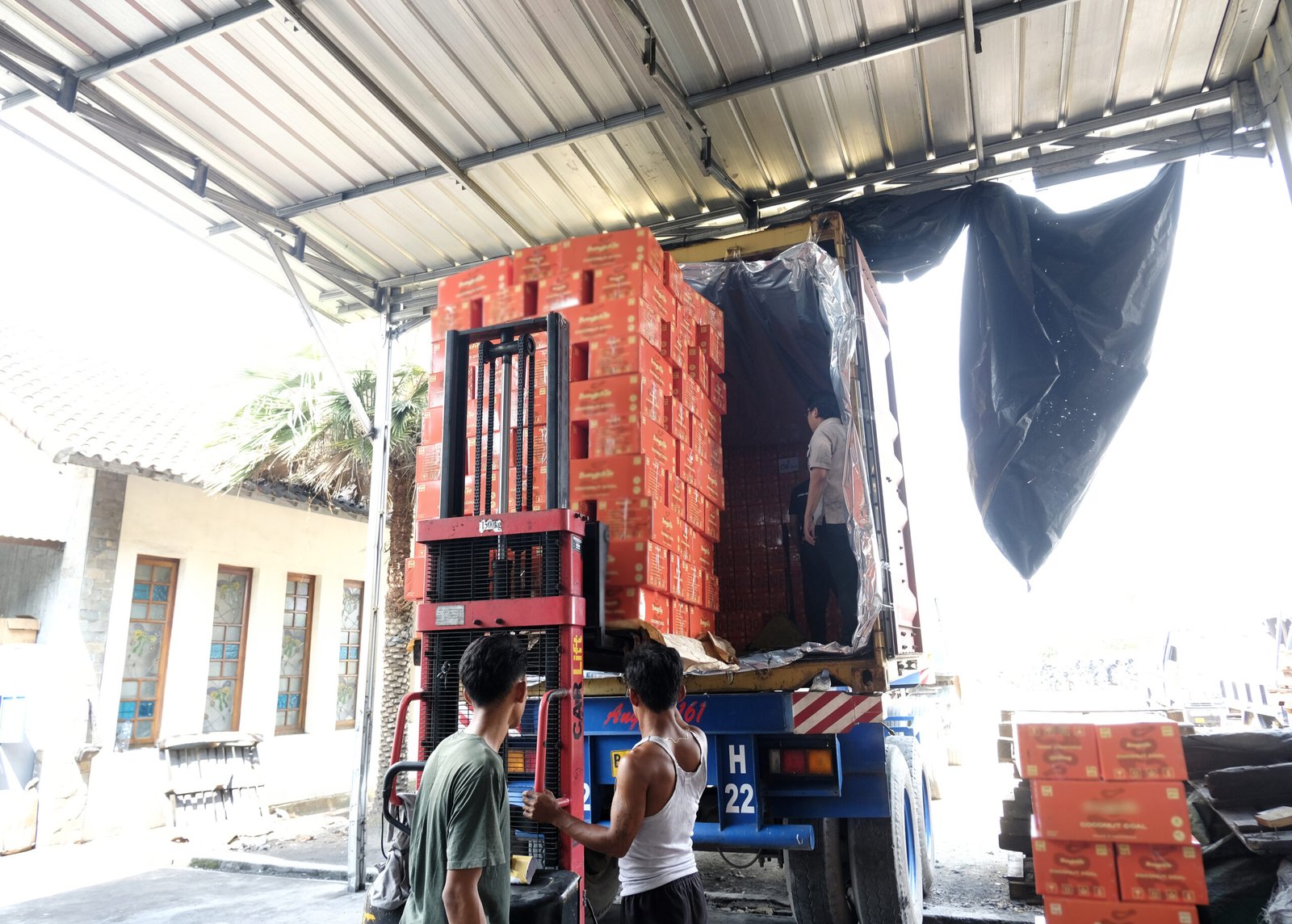 coconut charcoal briquettes factory